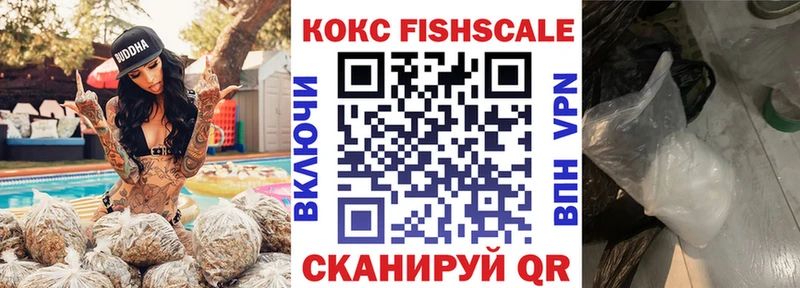 mega как войти  Ардон  COCAIN FishScale 