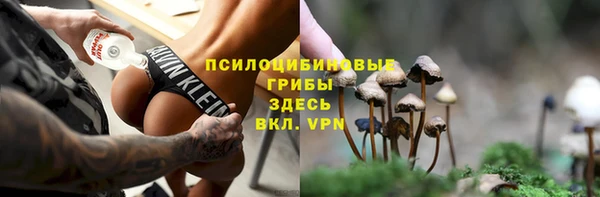 тгк Алексин