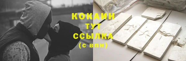 твердый Магас