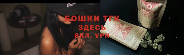 тгк Алексин